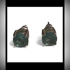 Blue Costume Stud Pierced Earrings #7641